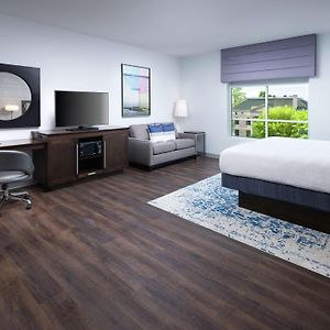 King Room Sofa Bed